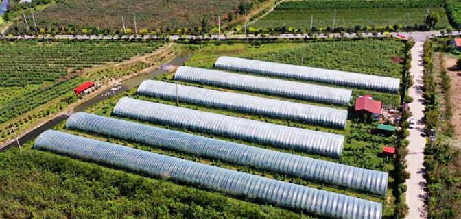 ����Ԓ�S�գ����u�м�ī�^(q��)��Ȫ�ֵ����o(w��)����ϲ�S�� ����ܛŴ���ː�(��i)