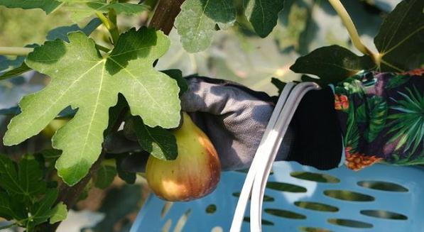 ����Ԓ�S�գ����u�м�ī�^(q��)��Ȫ�ֵ����o(w��)����ϲ�S�� ����ܛŴ���ː�(��i)