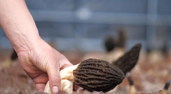 ��ī�^(q��)����(zh��n)��СС��Ǿ������l(xi��ng)�����d���¸��㡱