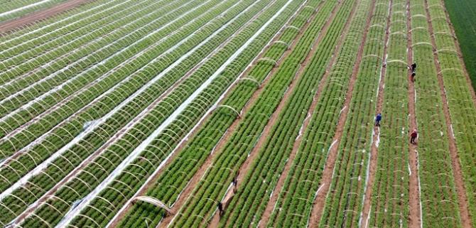 ���u��ī�^(q��)����r(sh��)��(ji��)�r(n��ng)��æ