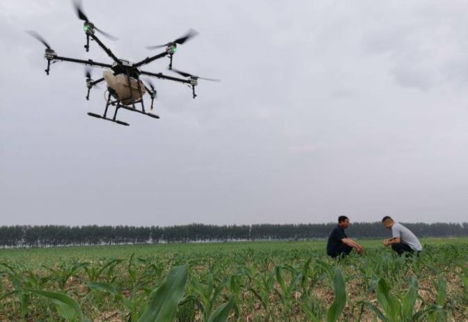 һ���ܽo800���ش�ˎ���o�˙C(j��)ֲ��������ī�r(n��ng)�I(y��)���|(zh��)��Ч