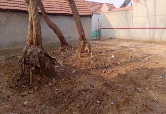 ���u��ī�^(q��)��ɽ�ֵ����P���e���YԴ �����˾�Ʒ�|(zh��)